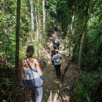 MRCI Forest Program