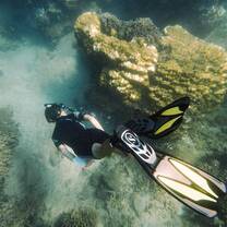 Marine Conservation Program