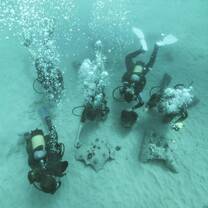 Marine Conservation Program