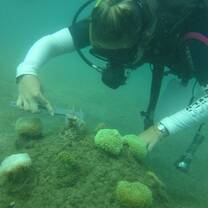 Marine Conservation Program