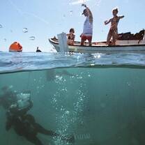 Marine Conservation Program