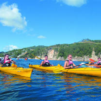 Canadian interns kayaking in New Zealand
