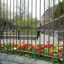 Garden in Cork
