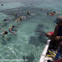 Snorkelling in Caye Caulker