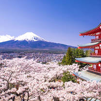 Study Japanese with Languages Abroad
