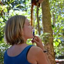 MRCI Forest Program