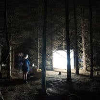 installation in the woods