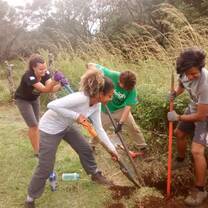 Digging in the National Park 