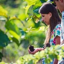 Outdoor field trips during the conservation internship.