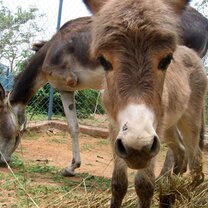 Volunteer in India Volunteer in India