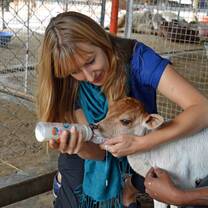 Volunteer in India