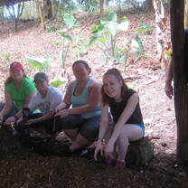 Plant a tree and help the conservation of the Galapagos Islands 