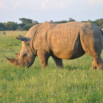 Volunteer in South Africa