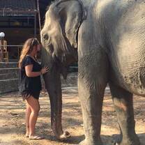 Nam Fon - The elephant I helped Rescue