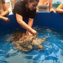 Giving Rinnie a little scrub down before her release!