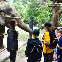Educating young children about the Tourism Industry