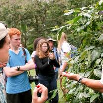 Students learning in the forest