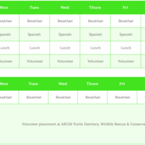 weekly schedule