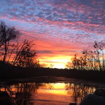 Sunset over freshwater swamp