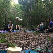 Drums and singing bowls meditation in the middle of the jungle 