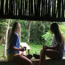 Waking up In the Rainforest with Dominican Coffee