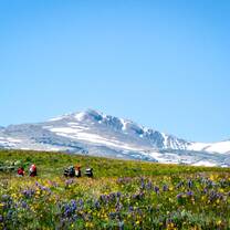VISIONS participants backpacking in Bighorn Range