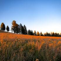 Northern Cheyenne Dusk 