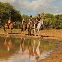 Horse Trail