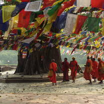 Pod Volunteer | Volunteering in Nepal