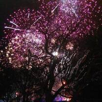 Hogmanay fireworks show 