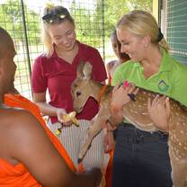 Volunteer holding a deer