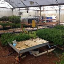 Aquaponic system at Maan Permaculture Center