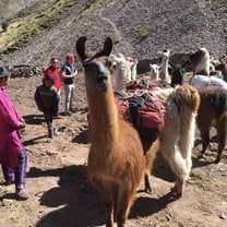 SSTS Llama Pack Project Summer 2017