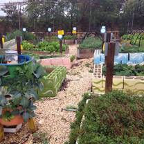 Raised beds in Maan Permaculture Center in Palestine
