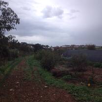 Maan permaculture center view