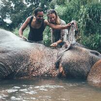 the Elephant Freedom project Sri Lanka