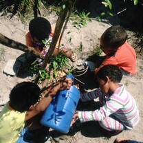 Writing and Communications Internship with Greenpop