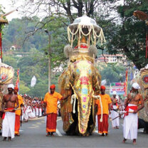Perahera in Kandy