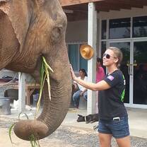 Making Friends