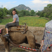 Camel riding at Pushkar, Rajasthan with The Tarzan Way