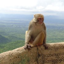 photo from Myanmar