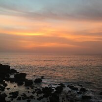 Toubab Diallo Toubab Diallo