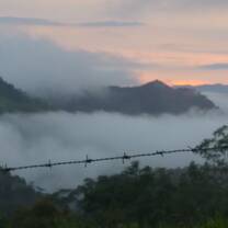 misty sunset at the farm