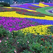 Flower Festival