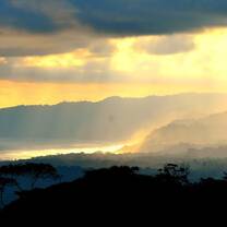 Osa Peninsula View