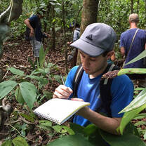 Volunteer Monitoring Tree Growth