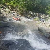 one of the creeks
