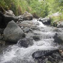 one of the creeks