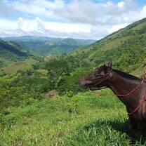 horseback riding on the farm