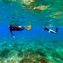 Snorkeling